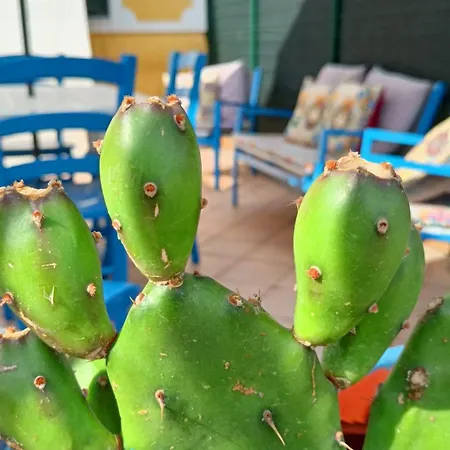 Casa Marea